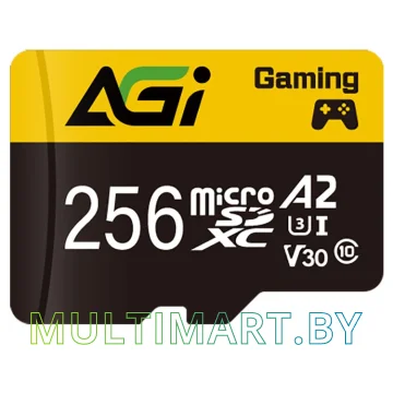 Карта памяти AGI TF138 microSDXC 256GB с адаптером (AGI256GGSTF138-R2)